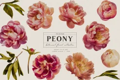 Painted Peony Botanical Florals