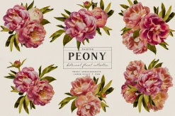 Painted Peony Botanical Florals