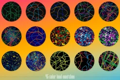 Painter: Multicolor Affinity Brushes