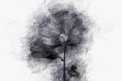 Painting Sketch Photoshop Action
