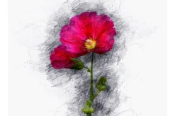 Painting Sketch Photoshop Action