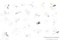 Paint Splatter Brushes Graffiti