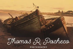Palm Beach Font Duo