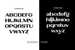 Palmont - Modern Sans