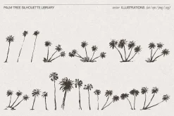Palm Tree Silhouette Library