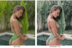 20 Palm White Lightroom Presets LUTs