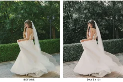 20 Palm White Lightroom Presets LUTs