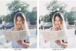 20 Palm White Lightroom Presets LUTs