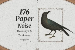 176 Paper Noise Overlays & Textures