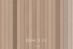 Paper Textures Pack