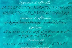 Paradise beach modern script font
