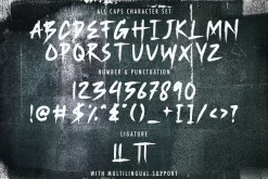 Parakan Brush - Brush Display Font