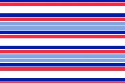 Patriot Eagle and Star Stripe 2 Seam