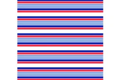 Patriot Eagle and Star Stripe 2 Seam
