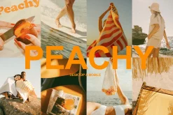 PEACHY | PRESETS LR MOBILE & DESKTOP