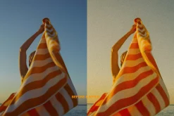 PEACHY | PRESETS LR MOBILE & DESKTOP