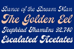 Pearlside – Variable Script Font