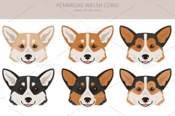 Pembroke Welsh Corgi clipart