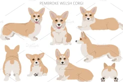 Pembroke Welsh Corgi clipart