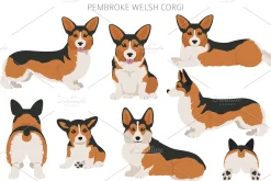 Pembroke Welsh Corgi clipart