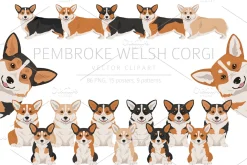 Pembroke Welsh Corgi clipart