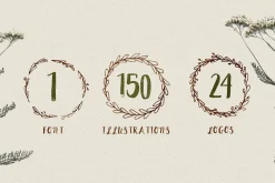 Peomy Extended Font & Illustrations