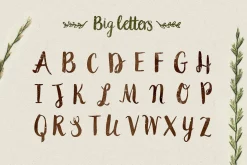 Peomy Extended Font & Illustrations