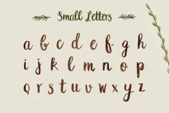 Peomy Extended Font & Illustrations