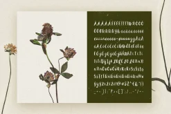 Peomy Extended Font & Illustrations