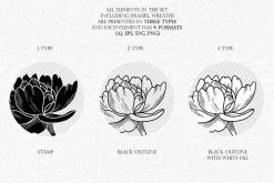 Peonies Line Art SVG, AI, EPS, PNG