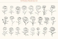 Peonies Floral Line Art
