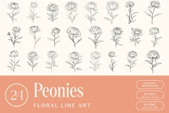 Peonies Floral Line Art