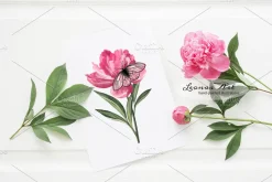 Peonies with Butterflies