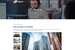 Peon - Logistic PSD Template