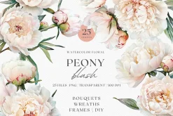 Peony Blush - Watercolor