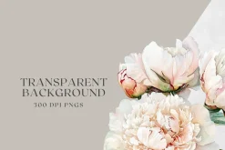 Peony Blush - Watercolor