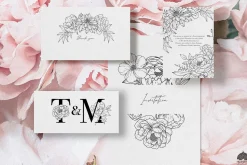 Peony line art collection