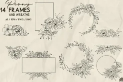 Peony line art collection