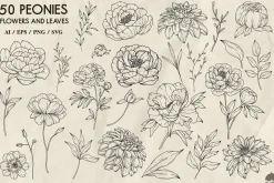 Peony line art collection