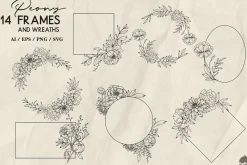 Peony line art collection