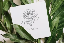 Peony line art collection