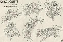 Peony line art collection