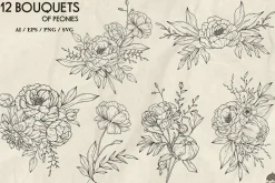 Peony line art collection