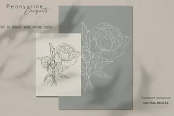 Peony Line Illustration - Flower Art