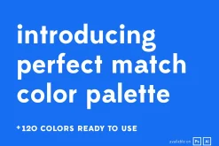 Perfect Match Color Palette