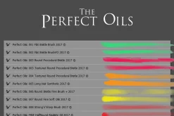 Perfect Oils. 24 Photoshop Brushes