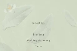 Petals Botanical Overlay Kit & Paper