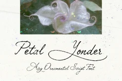Petal Yonder: Airy Script Font