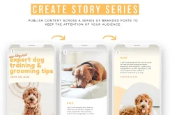 Pets Instagram Story Posts