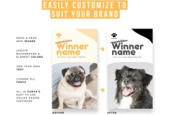 Pets Instagram Story Posts
